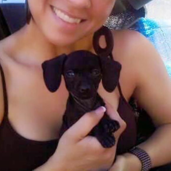 RIP Bebe 10/20/2022 - Picture 1 of 4