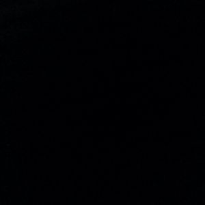 Meet your Posher, Jerry