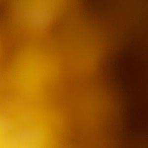 Meet your Posher, Dee