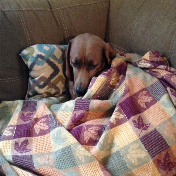 Meet your Posher, Michele