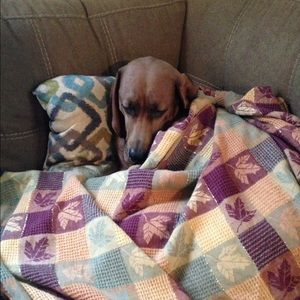 Meet your Posher, Michele