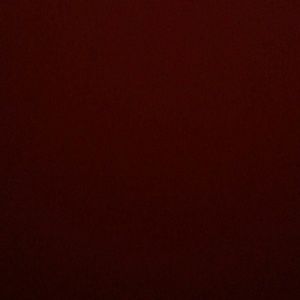 Meet your Posher, Sammy