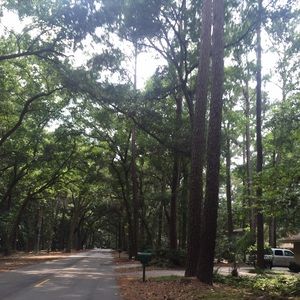 Meet your Posher, Meredith