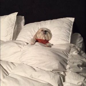 Meet your Posher, Veronica