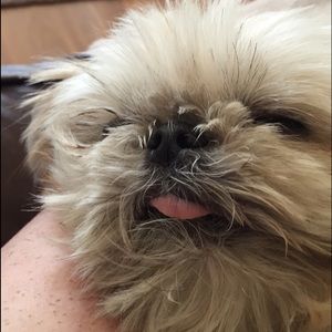 Meet your Posher, Caylee