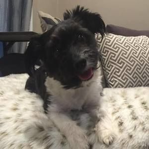 Meet your Posher, Tina