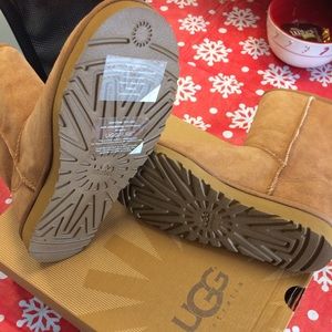 Chestnut brand new Ugg short classic boot