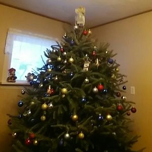 Meet your Posher, Angel