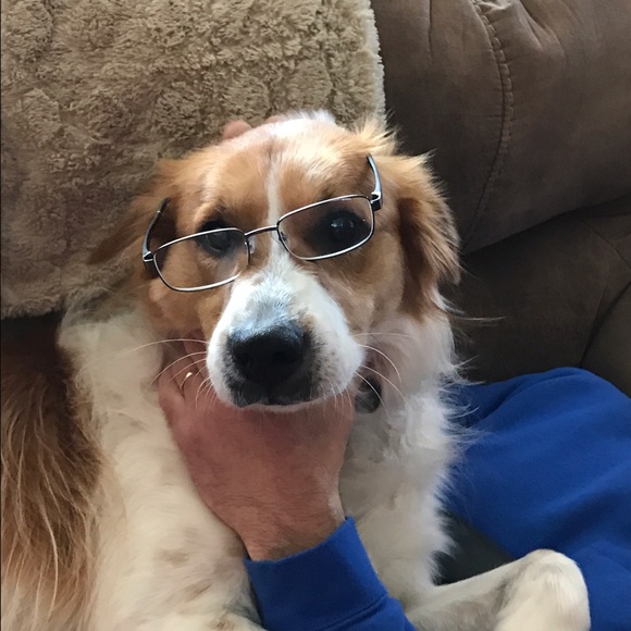 Meet your Posher, Samantha! *LETS MAX THIS OUT!* - Picture 2 of 5