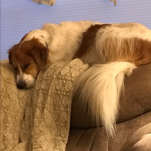 Meet your Posher, Samantha! *LETS MAX THIS OUT!* - Picture 4 of 5