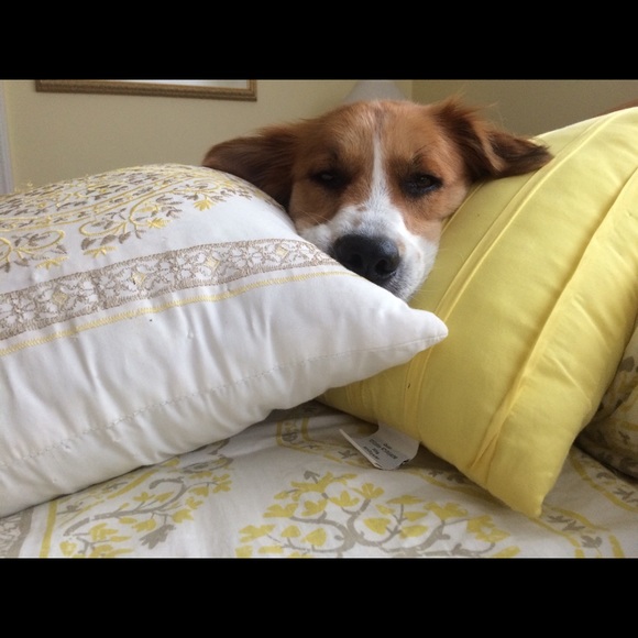 Meet your Posher, Samantha! *LETS MAX THIS OUT!* - Picture 5 of 5