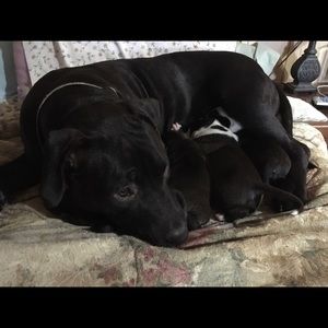 Meet your Posher, Mckenzie