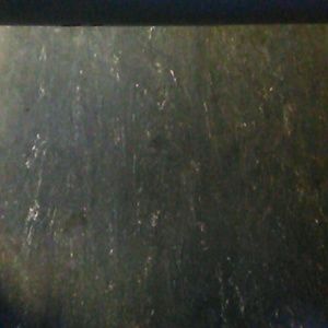 Meet your Posher, Nisha