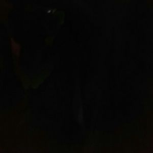 Meet your Posher, Andraea