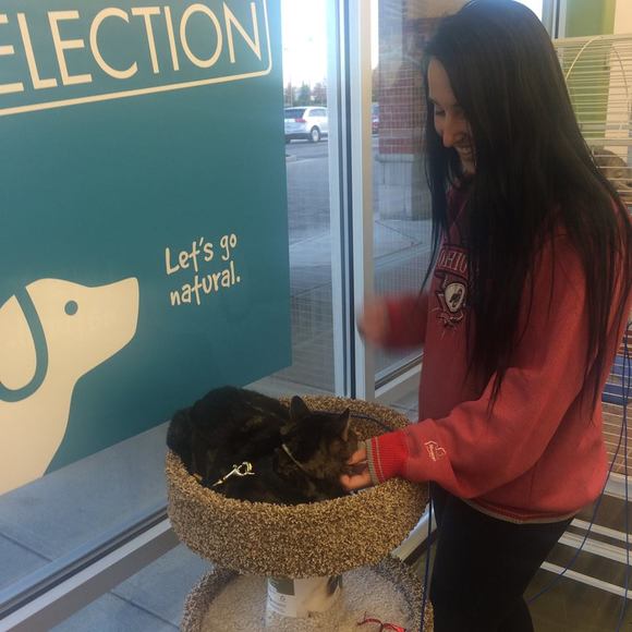 Meet your Posher, Katherine - Picture 1 of 1