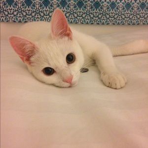 Meet your Posher, Erin