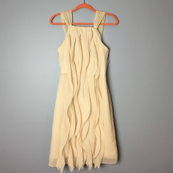 Vertical Chiffon Dress
