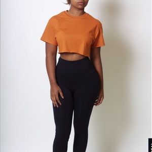 Babes and felines crop top