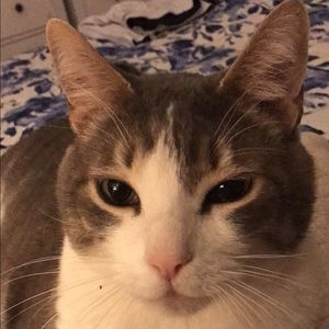 Meet your Posher, Victoria