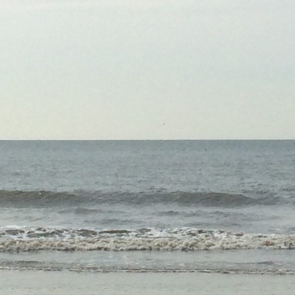 Meet your Posher, Bonnie