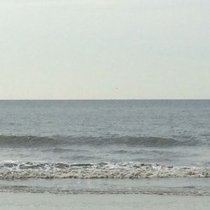 Meet your Posher, Bonnie