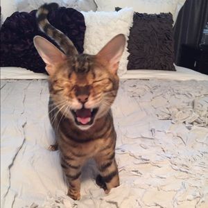 Meet your Posher, Mary anne