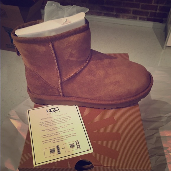 UGG Shoes - UGG W Classic Mini (5854) Chestnut Size 6