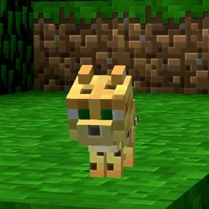 Meet your Posher, Wanda