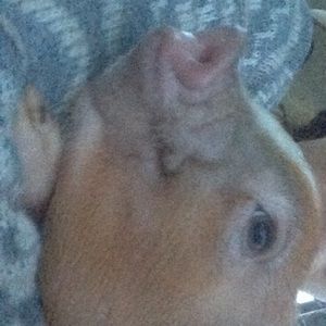 Meet your Posher, Krystal