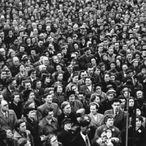 Meet your Posher, Crystal