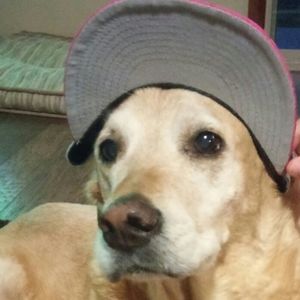 Meet your Posher, Matt