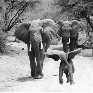 Meet your Posher, Jillian