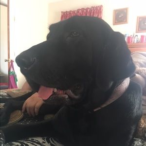 Meet your Posher, Sami