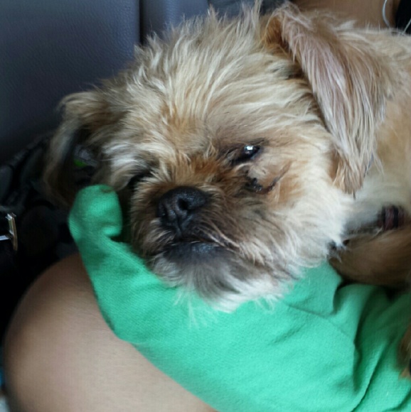 Meet your Posher, Kelley - Picture 1 of 1