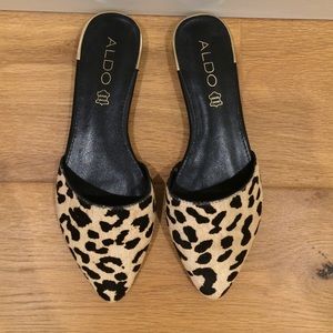 Aldo Leopard shows