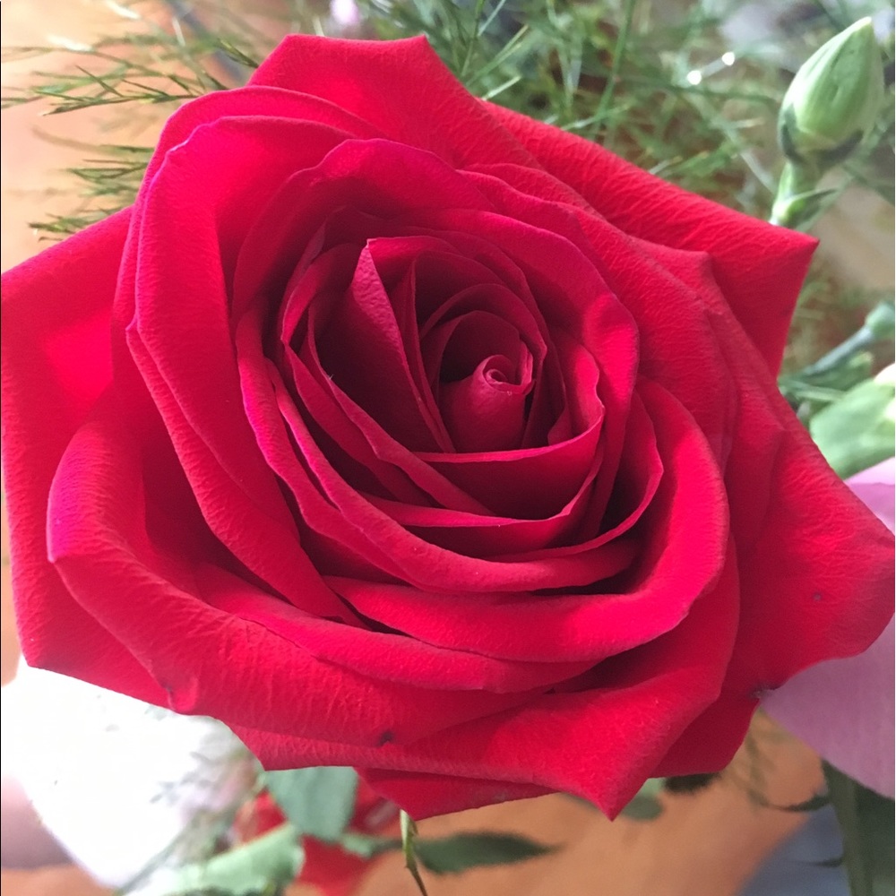 Meet your Posher, Maria