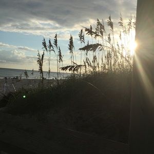 Meet your Posher, Gayle