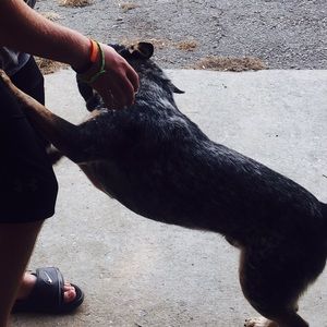 Meet your Posher, Kelly