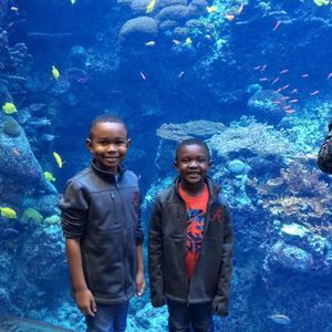 Meet your Posher, Malika