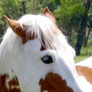 Meet your Posher, Cheryl