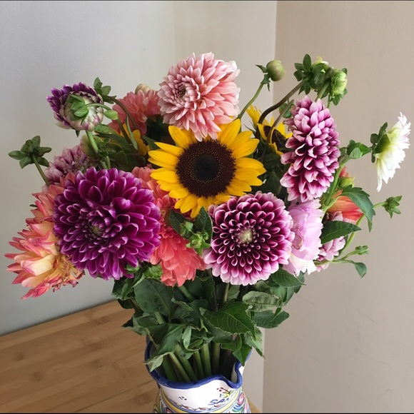 Meet your Posher, Gina