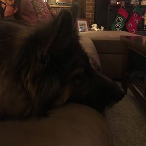 Meet your Posher, Mallory