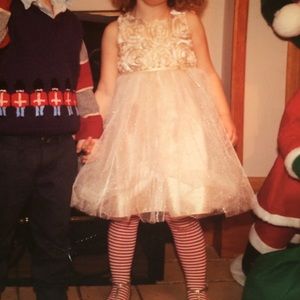 Toddler girls holiday dress