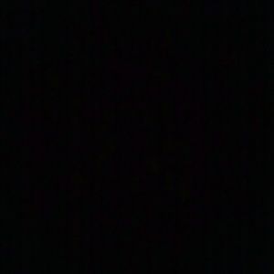 Meet your Posher, Lexi