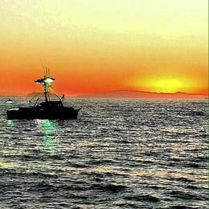 Meet your Posher, Pj