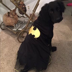 Meet your Posher, Nanc