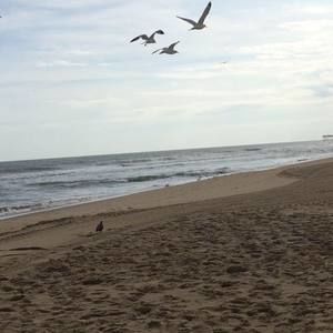 Meet your Posher, Rickeyandamanda