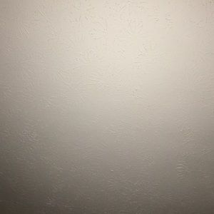 Meet your Posher, Alani