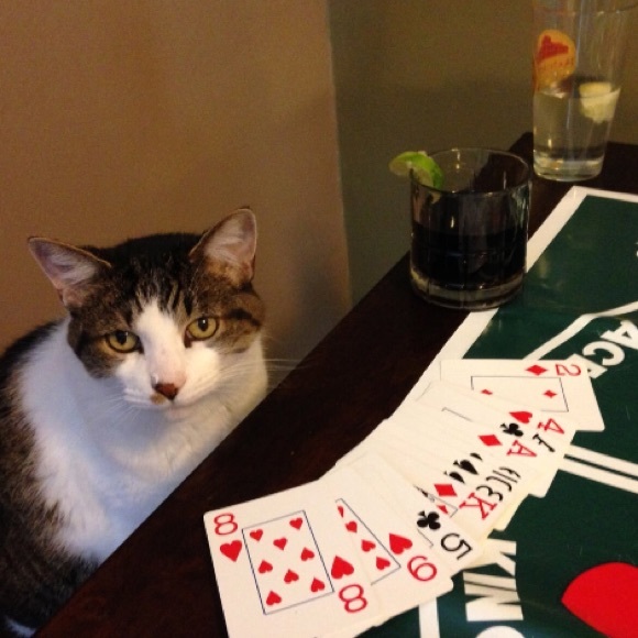 Meet your Posher, Angelina - Picture 6 of 7