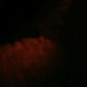 Meet your Posher, Keisha